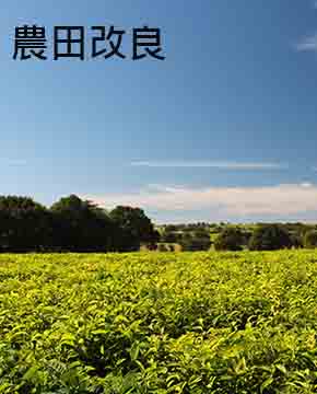 圖片展示