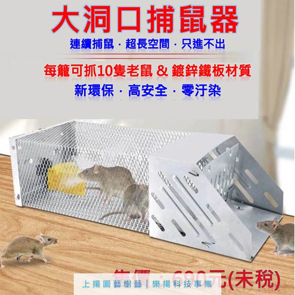 大洞口捕鼠盒