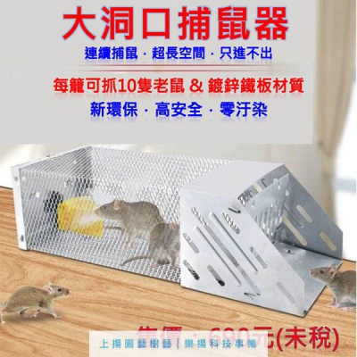 大洞口捕鼠盒