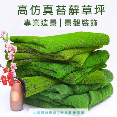 高仿真苔蘚草坪