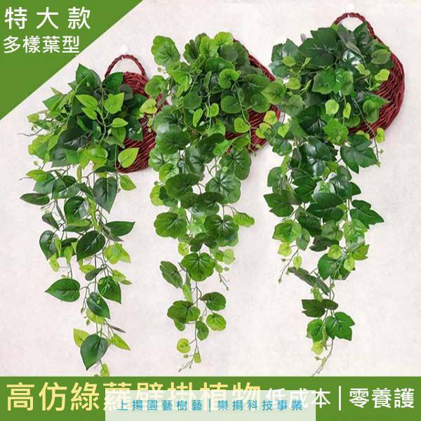 高仿綠蘿壁掛植物