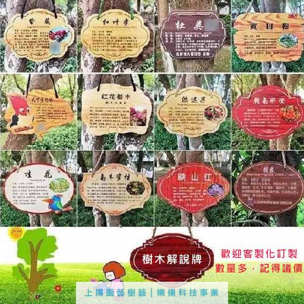 樹木解說牌