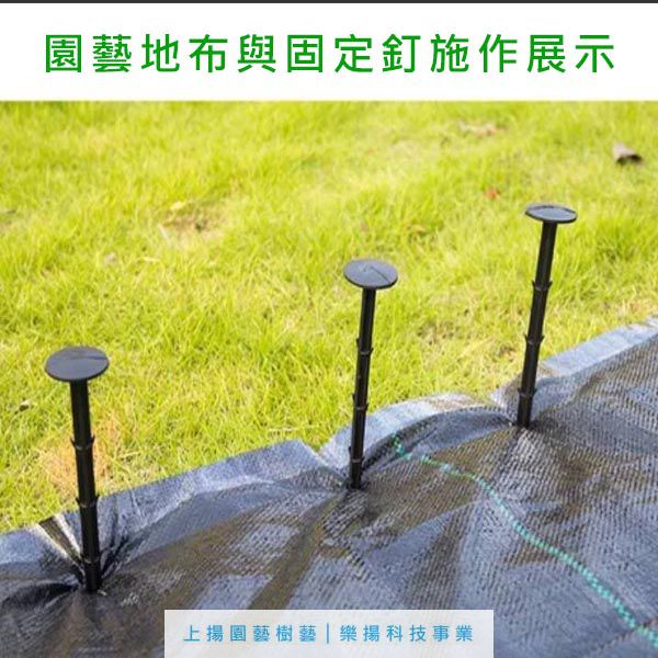 草地固定釘
