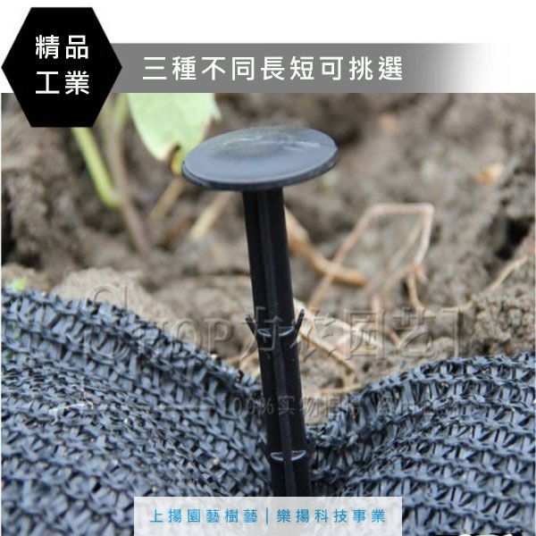 草地固定釘