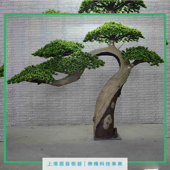 室內高仿羅漢木公│迎賓木公│美人木公