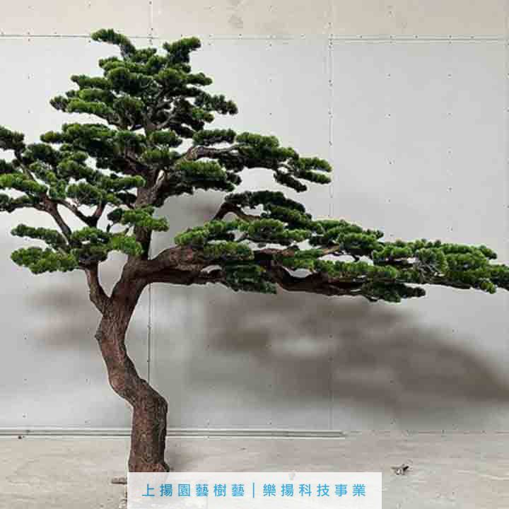 室內高仿羅漢木公│迎賓木公│美人木公