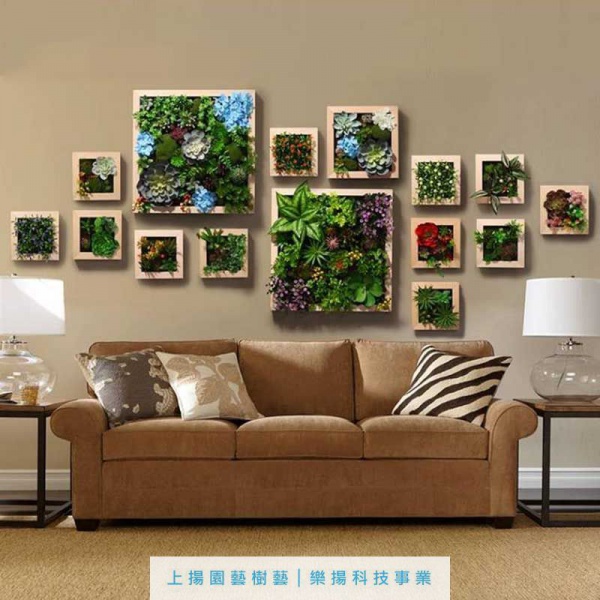 高仿植物木框壁掛