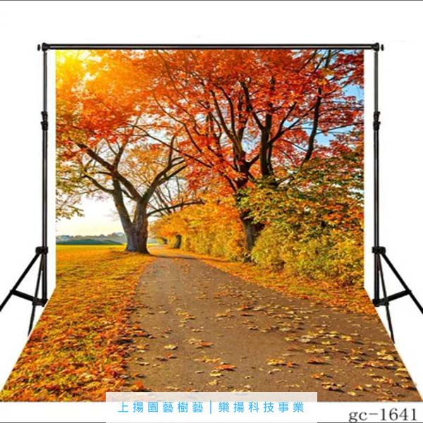 歐式花卉造景裝飾牆