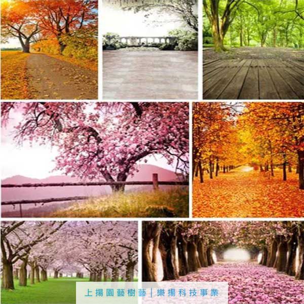 大自然造景裝飾牆