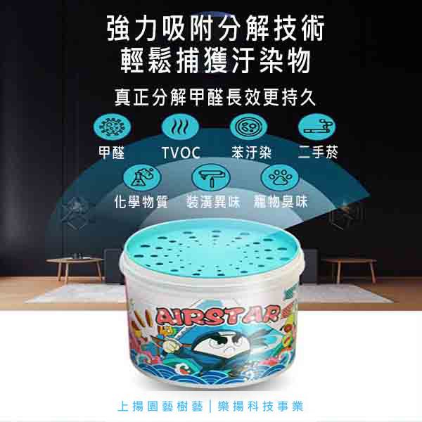 除甲醛│除異味藍盒