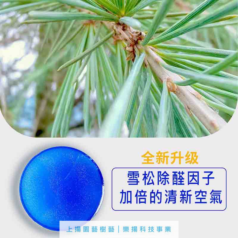 空氣淨化魔盒新房除甲醛去除劑